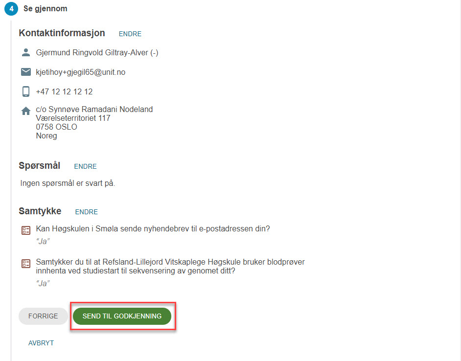 Eksempel på søknad som skal sendes til godkjenning. Knappen Send til godkjenning vises i slutten av se gjennom-steget.