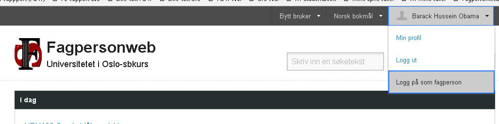 Logg på som fagperson